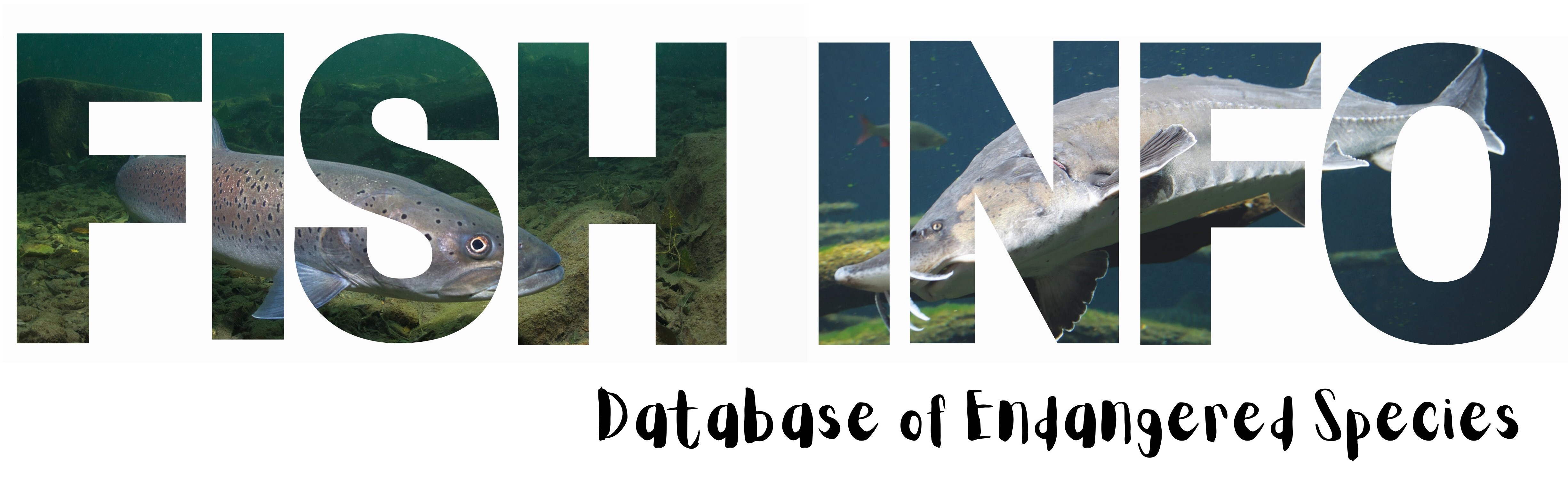Fish Info - Database of Endangered Species