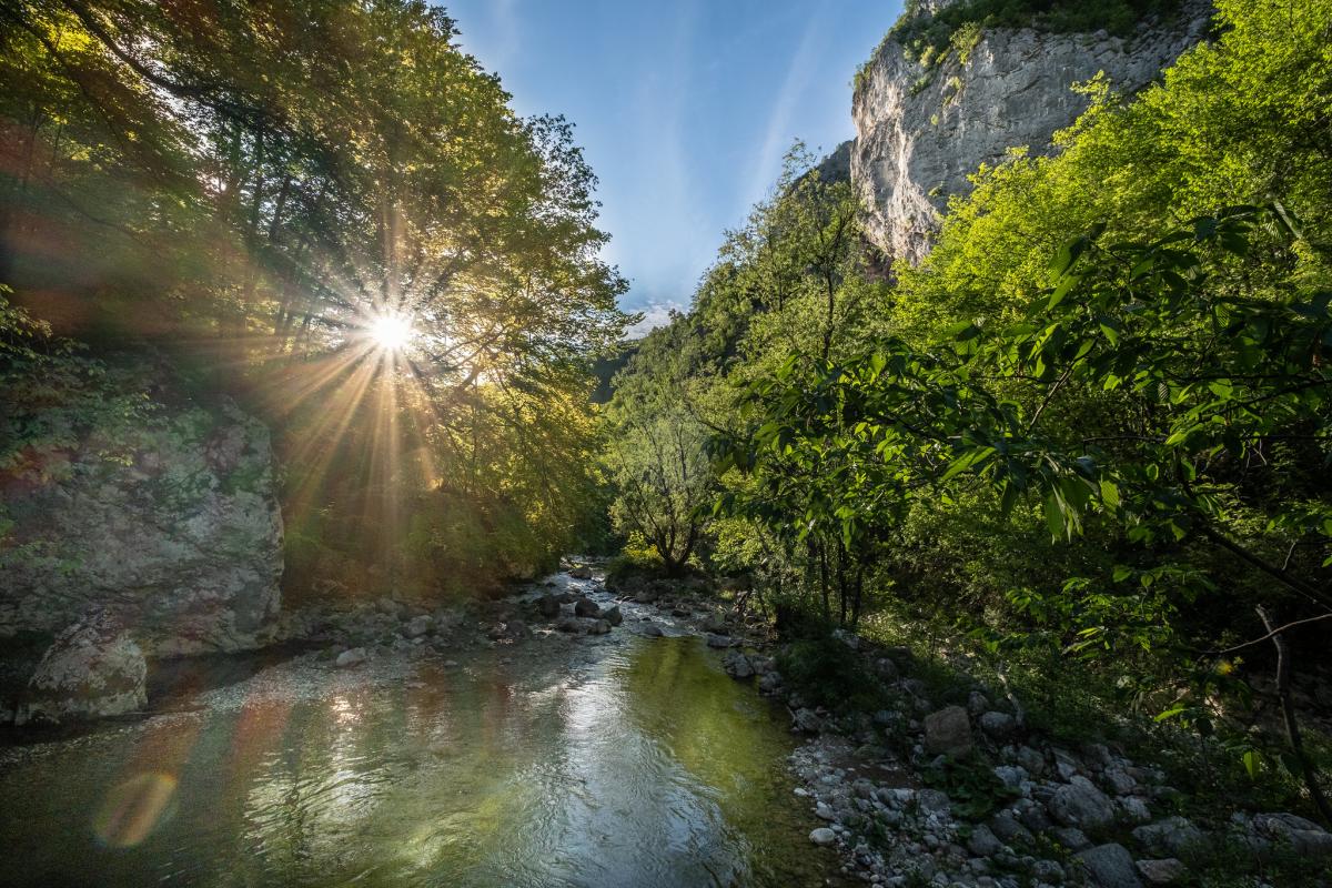 Nebojša Atanacković for Balkan Rivers | Save the Blue Heart of Europe