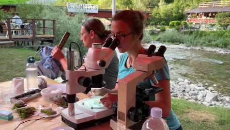 Scientists at work. © Joshua D. Lim