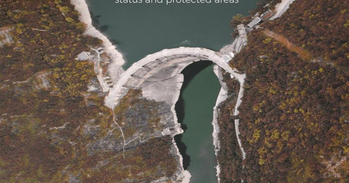 Rivers and Dams in the wider Mediterranean Basin | Save the Blue Heart ...