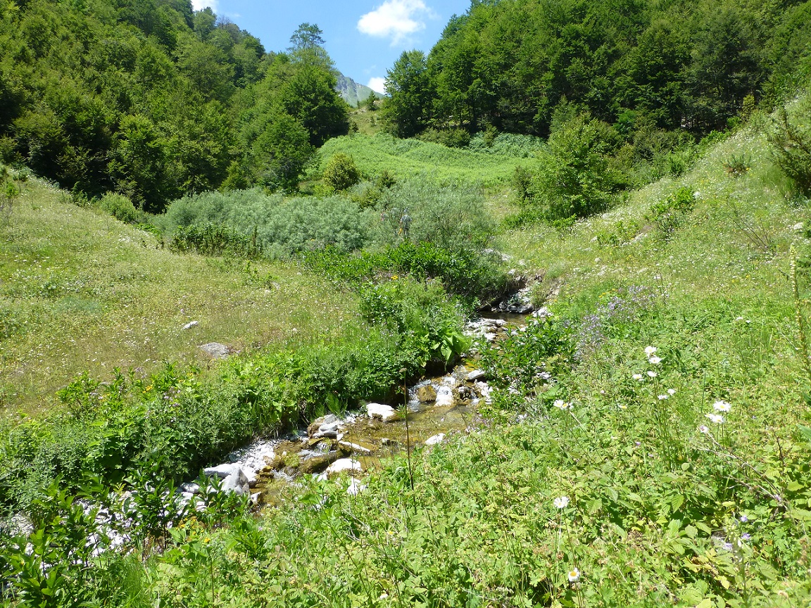 Streams and creeks in Mavrovo NP under attack by low-performing hydropower projects. © Theresa Schiller