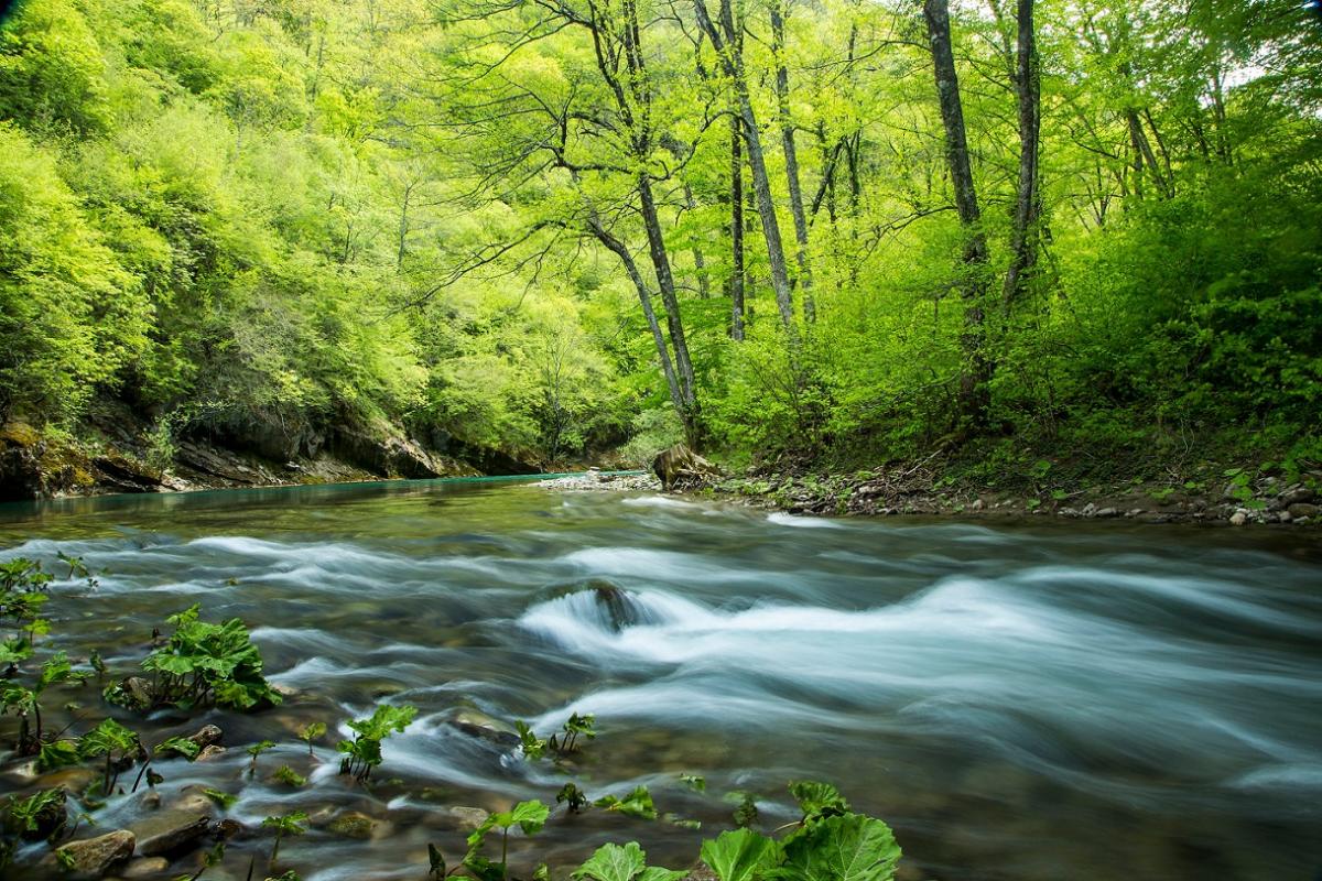 Die geplanten Kraftwerke würden den größten Teil des oberen Teils des Flusses in eine Reihe von durchgehenden Dämmen, Rohren und Reservoirs verwandeln. © Amel Emric