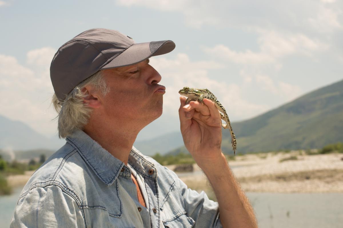 Kiss by the river: Ulrich Eichelmann (Riverwatch) kissing a marsh frog. Photo: A. Guri