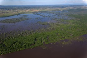 Die natürlichen Überschwemmungsflächen der Save im Lonjsko Polje Naturpark.