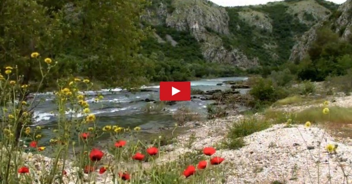 Balkan Rivers Trailer now online! | Save the Blue Heart of Europe