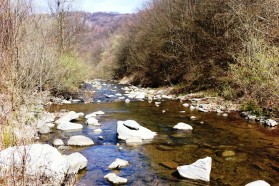 Fluss Rupska im Süden Serbiens. Rupska ist einer der saubersten Flüsse in Serbien und ist ebenfalls durch ein Wasserkraftwerk bedroht. Der "Rupska Reka" Verein versucht dies zu verhindern.
